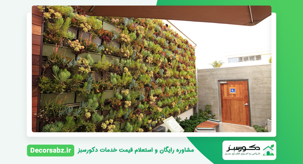 دیوار گیاهی
