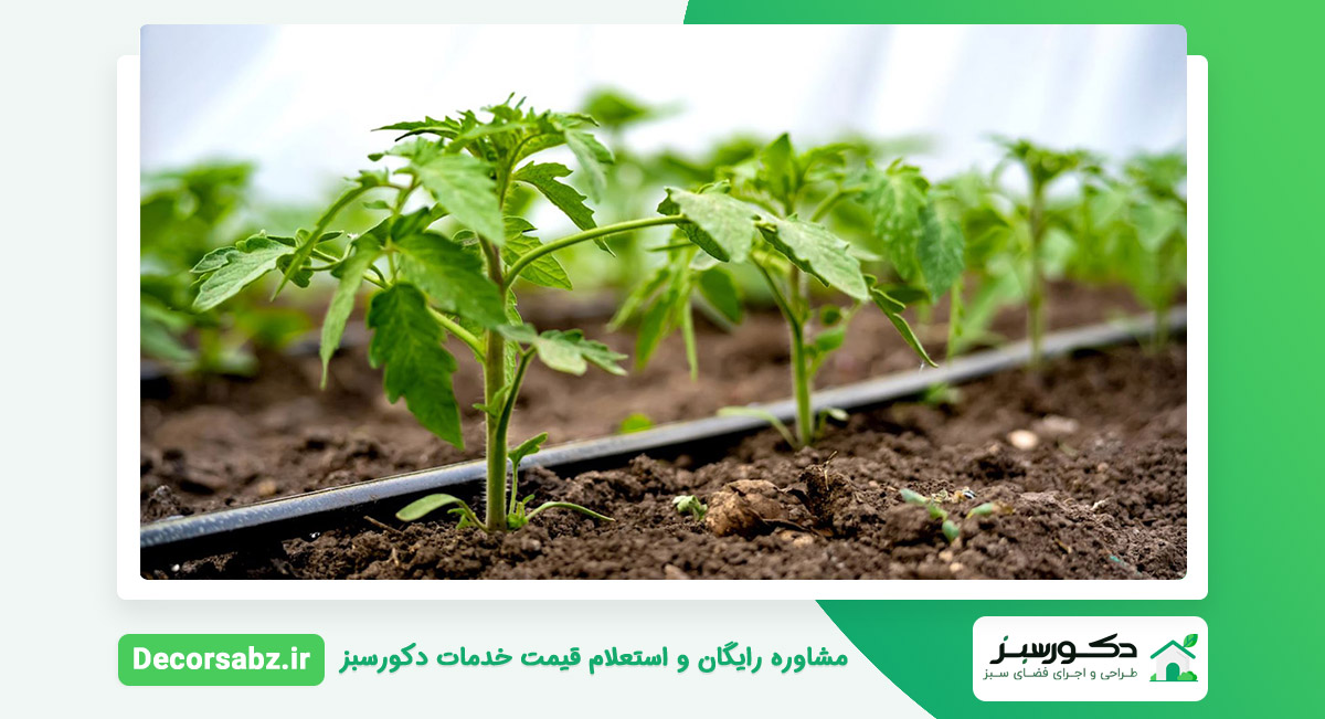 آبیاری قطره ای باغ ویلا